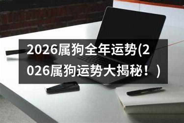 狗年在2026运程如何？