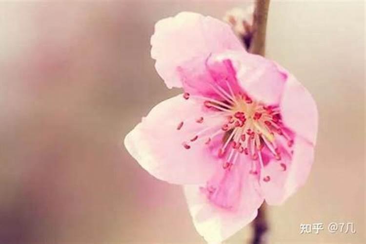 女生招正桃花运的方法