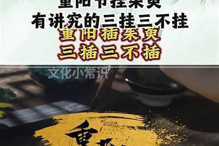 重阳节代表的植物有哪些？