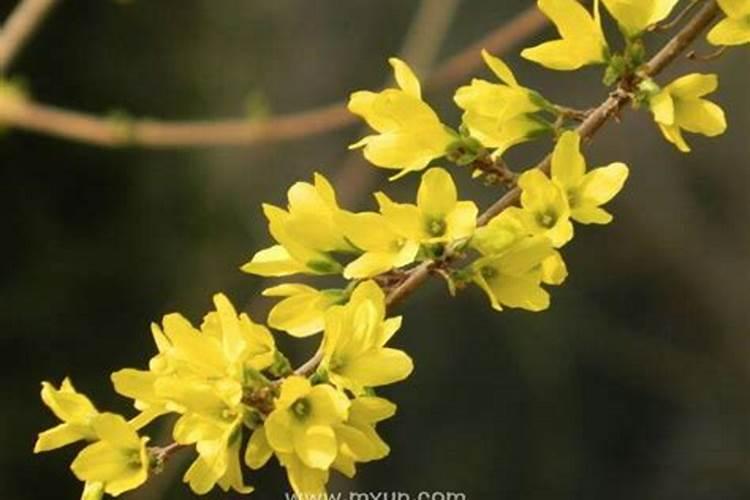 梦见蛇钻到衣服里什么预兆？