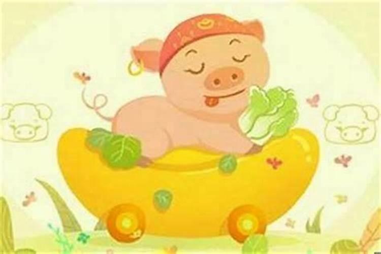 猪与什么属相婚配？