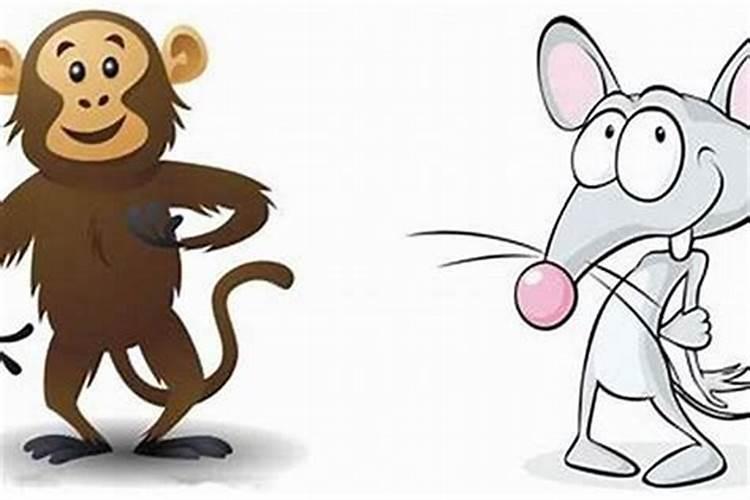 猴和猴结婚婚姻如何？