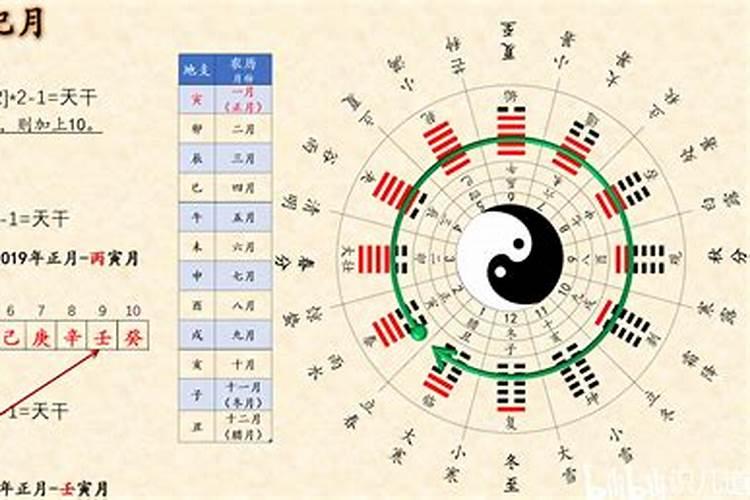 大运如何看天干地支？
