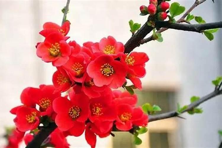 运气差怎么破？