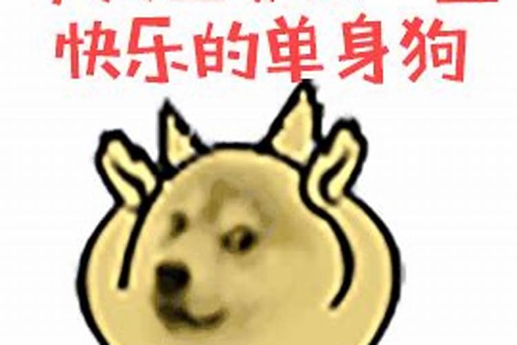 七夕节单身狗们哪里去了？