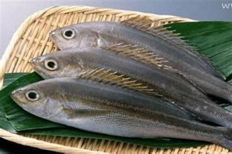 怀孕梦见鱼什么意思周公解梦？