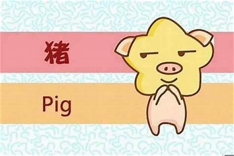 1995年猪人婚姻测算