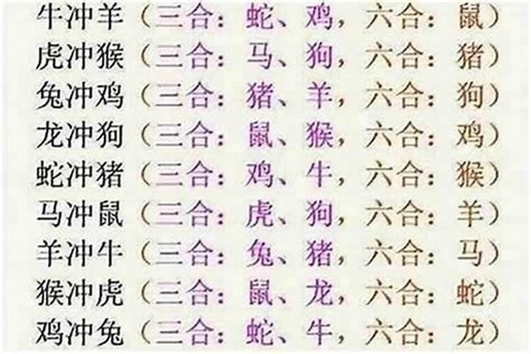 属牛和属虎八字不合