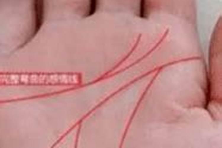 女人手上的财库在哪里？