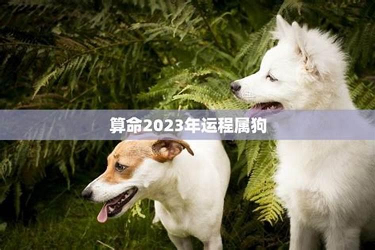 大家找属狗2026年运程