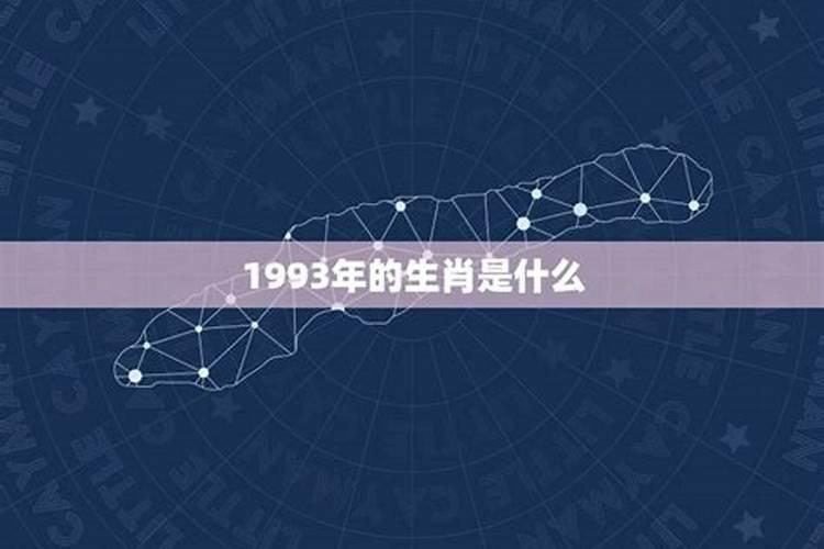 1993九月初九是什么命？