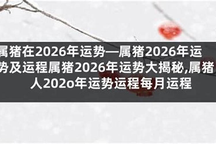 八零年生的在2026年的运程