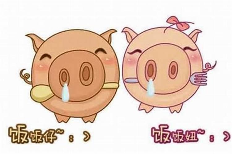 属猪今年本命年结婚好吗？