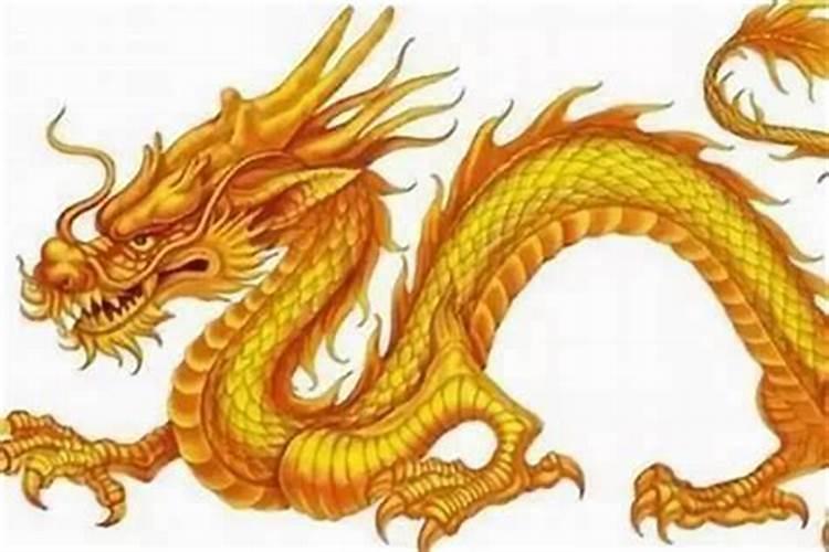 属龙农历10月出生运程如何？