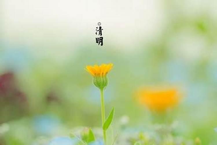 清明节以农历还是阳历？