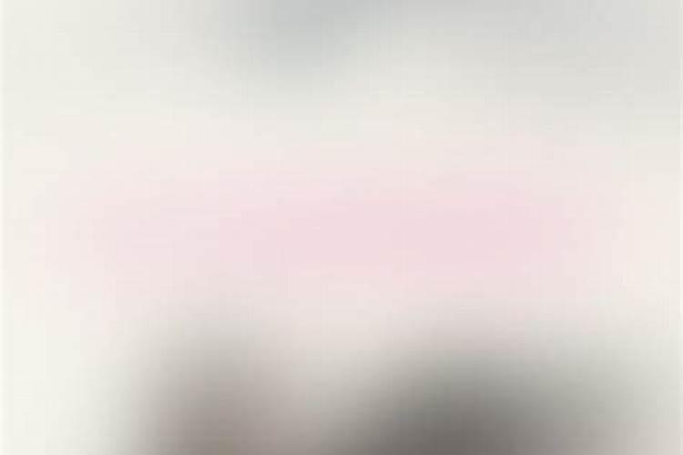 属兔腊月女2026运气