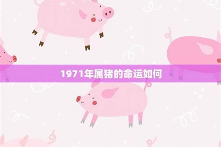 1971年属猪人2026年运势如何？