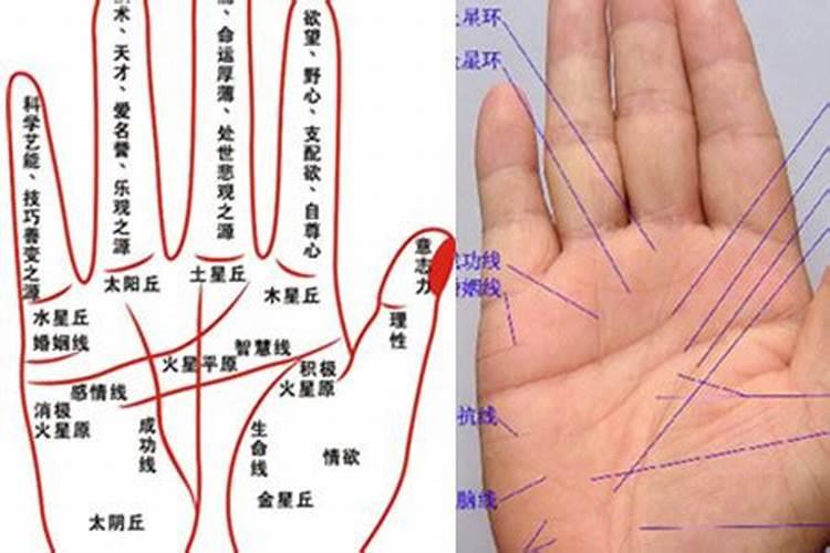 给人看手相影响运势吗？