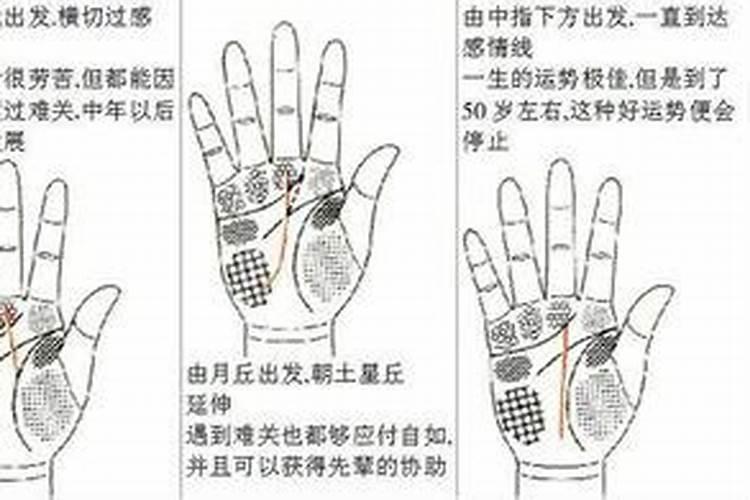 看手相生辰八字面相准吗？