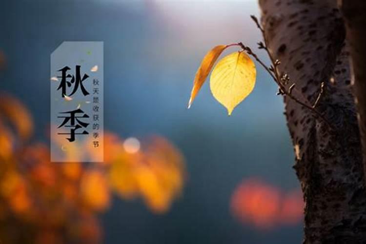 农历秋分几月几号？