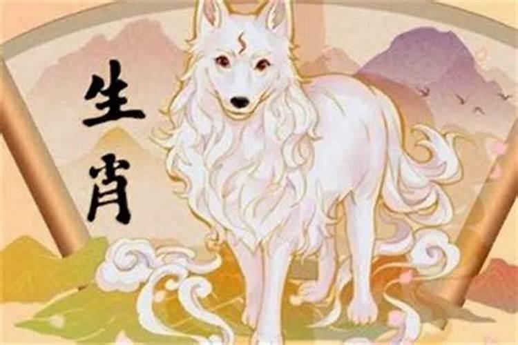 耻骨疼属狗2026年运势