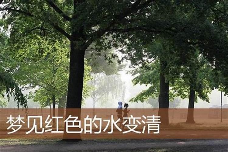 梦见红色的水是什么意思？