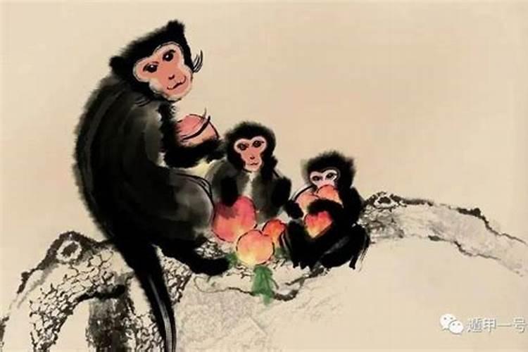 1980年出生属猴逐月运程