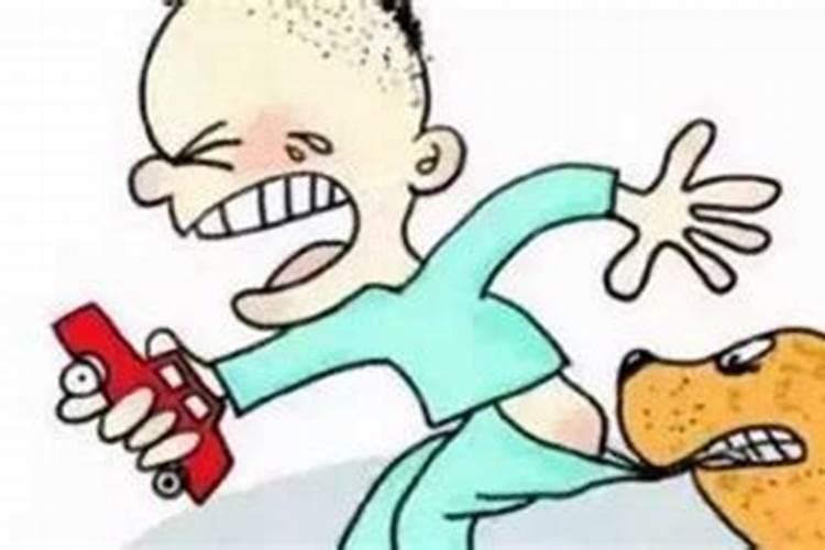 梦见狗咬妻子是什么意思周公解梦？