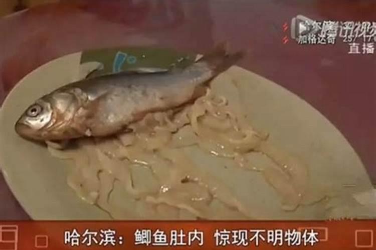 梦见肚子里有鱼拿出来