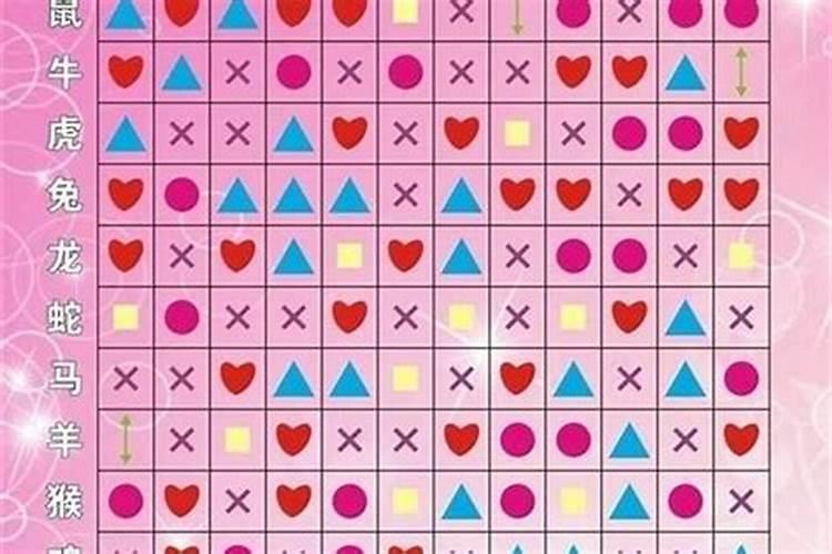 什么和什么生肖最般配？