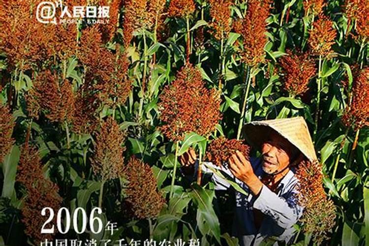 将农历秋分设为农民丰收节