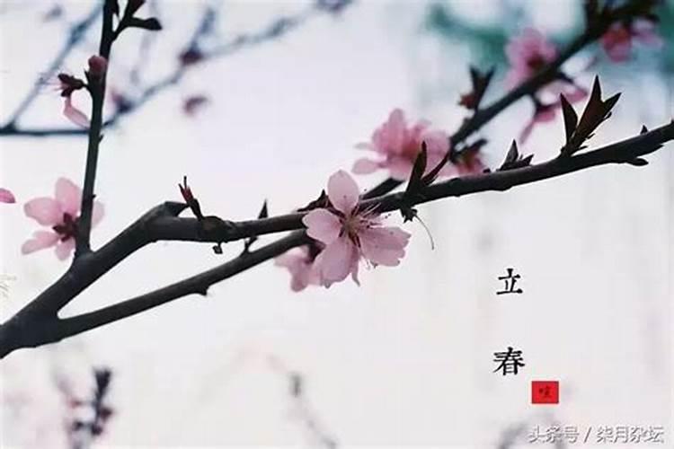 立春立夏立秋立冬几月几日？