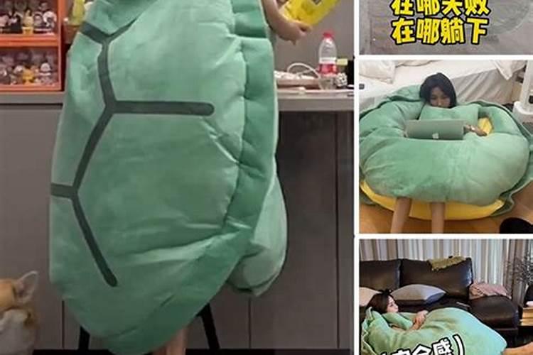 梦见超级大的乌龟壳