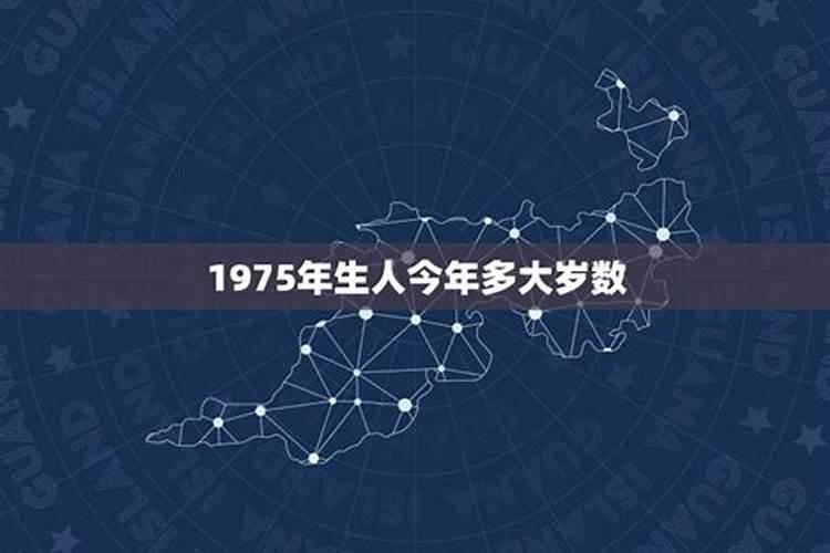 1975年生人2026年的运程