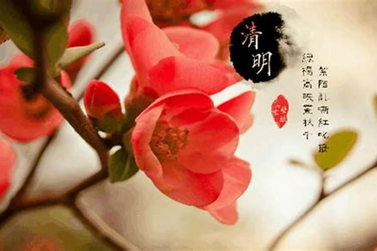 清明节在农历的几月几号？