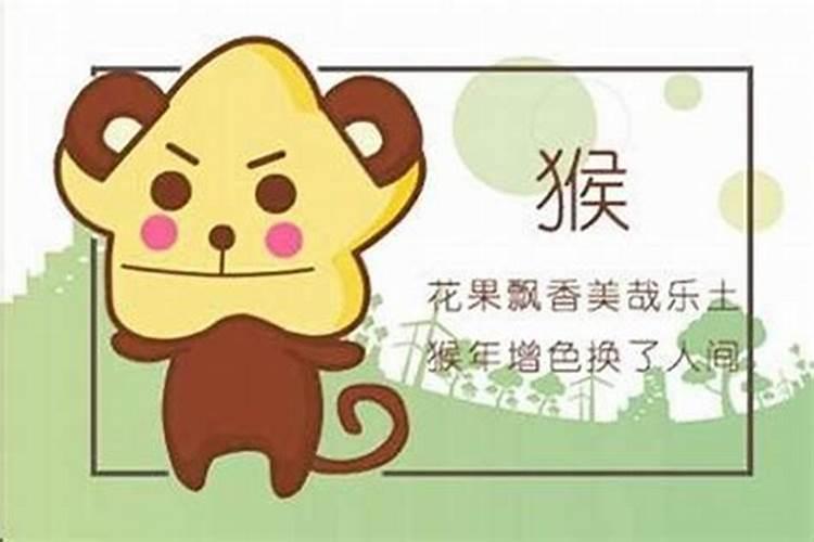 男猴女虎八字合吗？