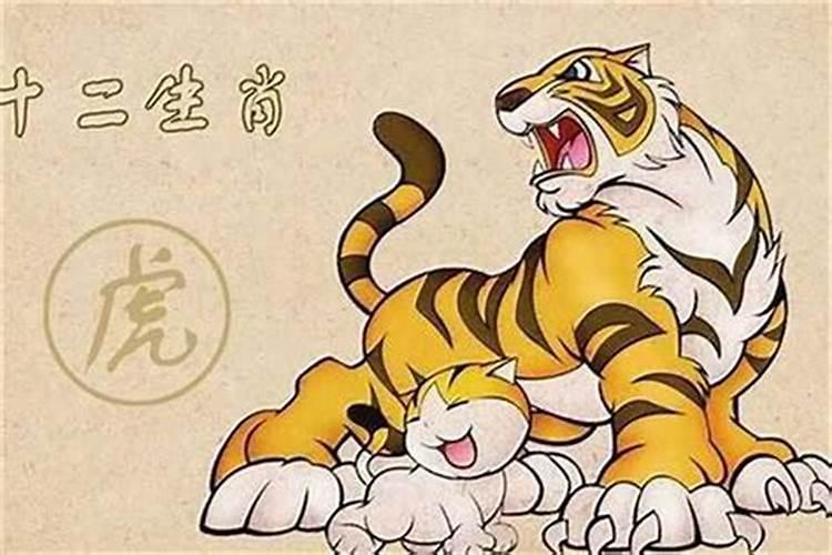 本命年女生结婚好吗属虎女人？