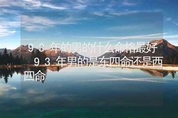 93年什么命？