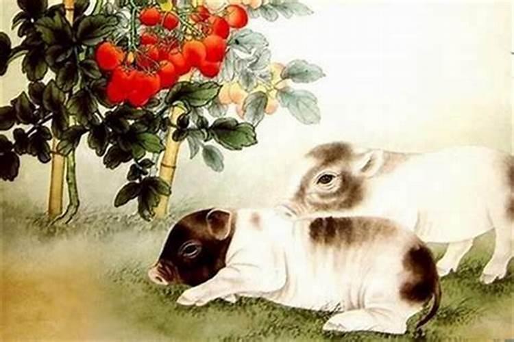 属鼠的跟属鸡的八字合吗？