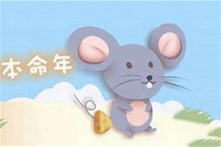 本命年结婚吉利吗属鼠？