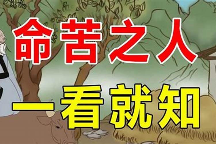 命苦之人一看就知道
