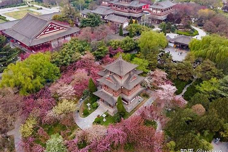 西安清明节去哪里玩？