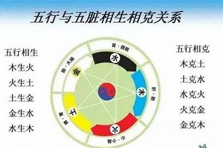 土与木是相生还是相克？
