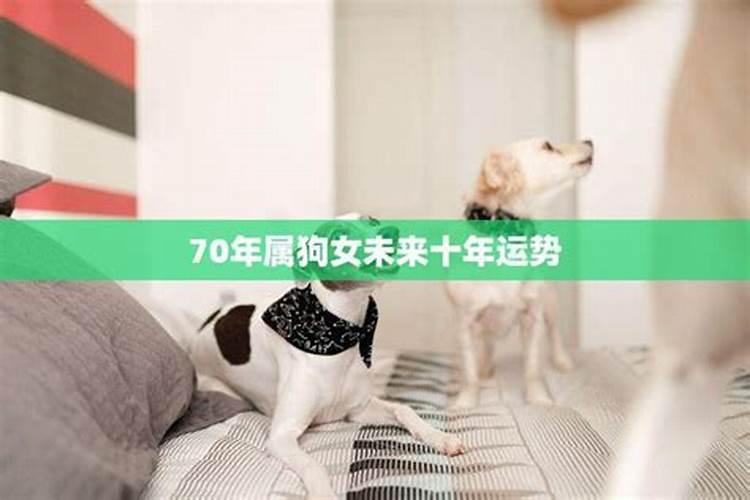 70年出生属狗女2026年运程