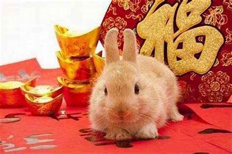 佛教属兔人今年如何破太岁？