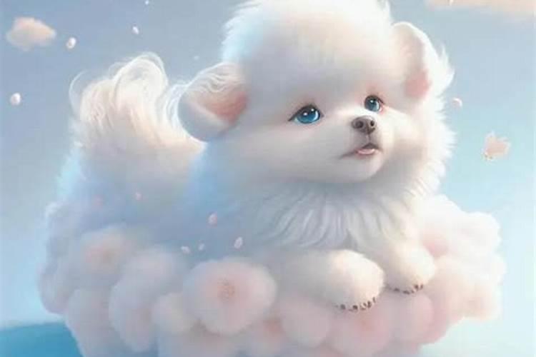 属狗的2026年运势财运婚姻如何？