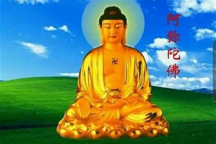 属狗的本命佛是什么佛？