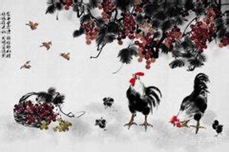 1981属鸡在2026年运程