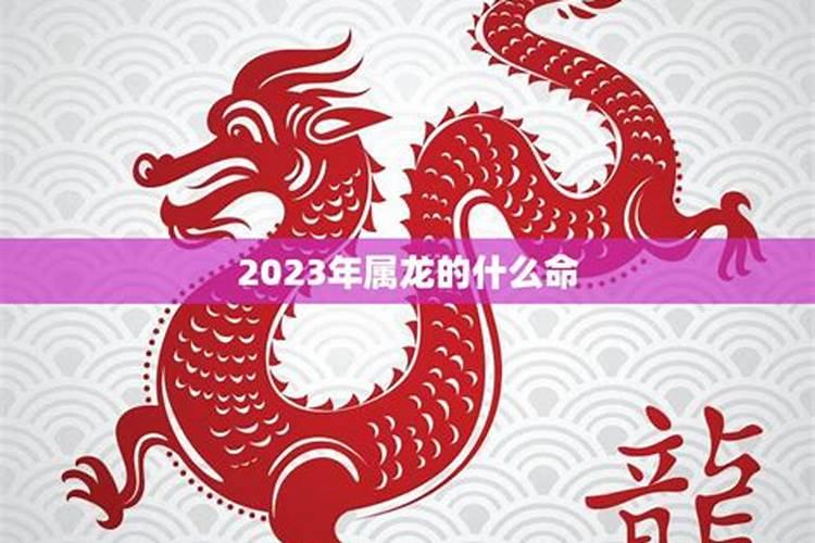 属龙人2026年五月份运势如何？