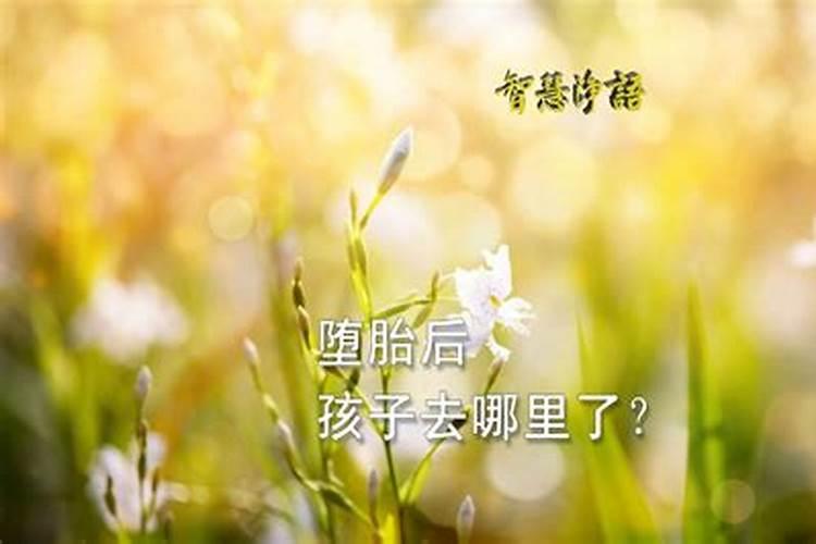 堕胎后的我去了哪里？